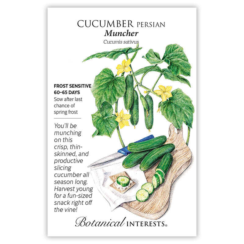 Seed packet for Muncher Persian cucumber showing an illustrated vine with yellow flowers and slim green cucumbers above whole and sliced cucumbers on a wooden cutting board, with text noting it's frost sensitive, matures in 60–65 days, and describes the crisp, thin-skinned slicing variety.