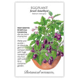 Seed packet for Jewel Amethyst Eggplant featuring an illustration of a compact potted plant with clusters of small, egg-shaped purple fruit, green lobed leaves, and pale purple flowers, with text noting it is frost sensitive, matures 80 days after transplanting, and is well-suited for container gardens.