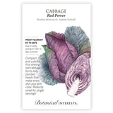 Seed packet for 'Red Power' cabbage with botanical illustration and botanical information.