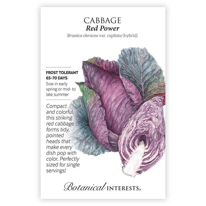 Seed packet for 'Red Power' cabbage with botanical illustration and botanical information.