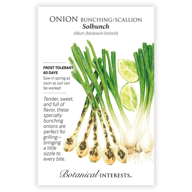 Solbunch Bunching/Scallion Onion seed packet with botanical illustration and botanical information.