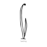 Black line drawing of Crème Brulee Shallot Onion seedling on a white background.