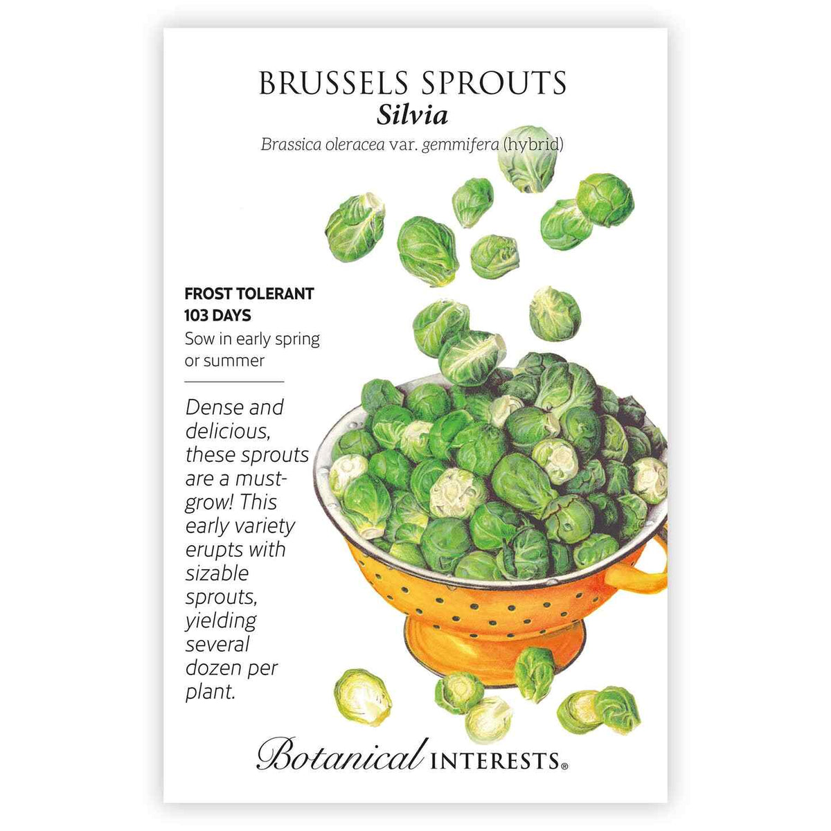 Seed packet for Brussels sprouts with illustrations and botanical information on a white background