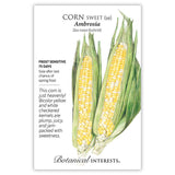 Seed packet for Ambrosia Sweet Corn showing two illustrated ears with bicolor yellow and white kernels peeled back in green husks, with text noting it's frost sensitive, matures in 75 days, and produces plump, juicy, sweet kernels.