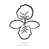 Black and white sketch of a squash seedling with Botanical Interests branding.
