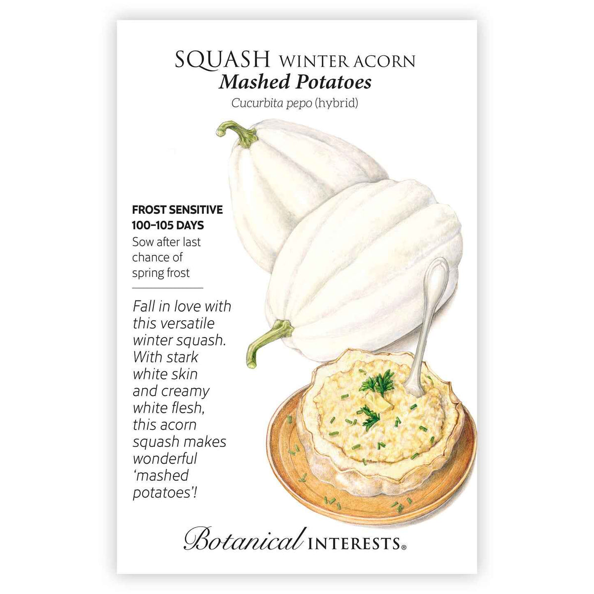 Front of a Botanical Interests "Squash Winter Acorn Mashed Potatoes" seed packet displaying a botanical illustration of two white acorn squashes alongside a fluffed squash half in a wooden bowl with herb garnish.