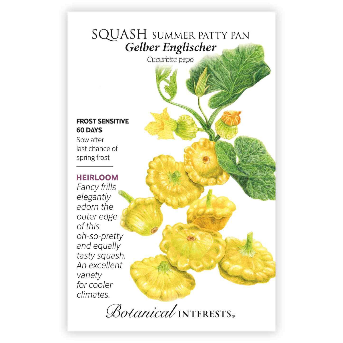 Botanical Interests Gelber Englischer Patty Pan Summer Squash seed packet with plant illustration and growing information.