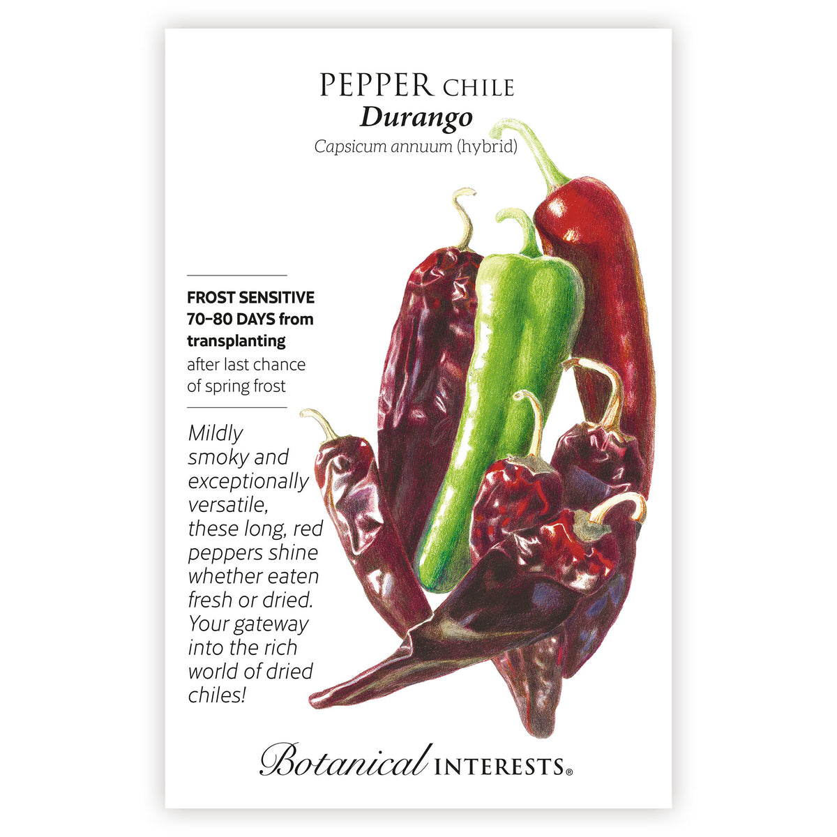 Seed packet for 'Pepper Chile Durango' with images of red and green peppers and botanical information about the plant.