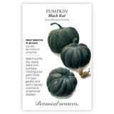 Seed packet for Black Kat Pumpkin illustrating three ribbed, near-black mini pumpkins with an acorn and snail, alongside text noting it's frost sensitive, matures in 75–80 days, and describes its spooky appeal for ornamental garden displays.