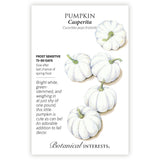 Seed packet for Casperita Pumpkin featuring an illustration of five small, ribbed, bright white pumpkins with curved green stems, alongside text noting frost sensitivity, a 75-80 day growing period, and sowing after last frost.