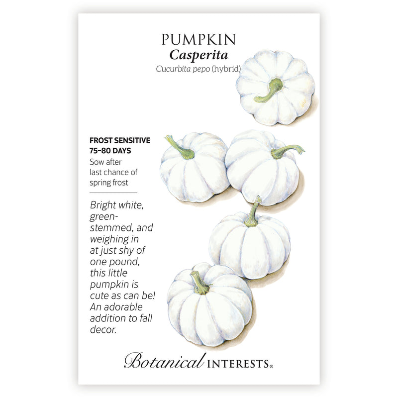 Seed packet for Casperita Pumpkin featuring an illustration of five small, ribbed, bright white pumpkins with curved green stems, alongside text noting frost sensitivity, a 75-80 day growing period, and sowing after last frost.