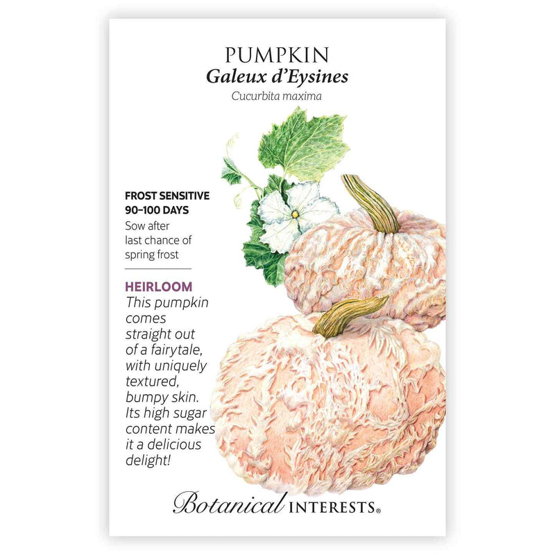 Seed packet for Galeux d'Eysines Pumpkin featuring an illustration of two peachy-pink, warty-skinned heirloom pumpkins with a leaf and white blossom, alongside text noting frost sensitivity, a 90–100 day growing period, and its fairytale-like bumpy skin and high sugar content.