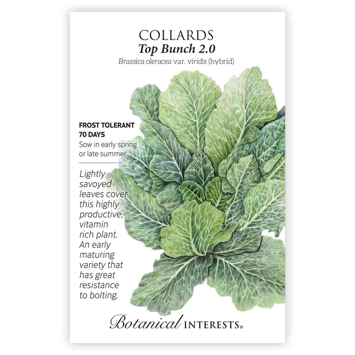 Front of a Botanical Interests "Collards Top Bunch 2.0" seed packet displaying a botanical illustration of a lush, leafy green collard plant on a white background.