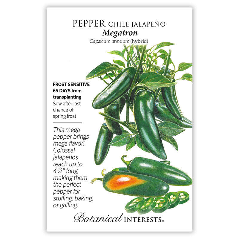 Seed packet for Pepper Megatron Chile Jalapeño with botanical illustration, USDA Organic label, and growing information.