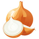 Illustration of a Sweet Spanish Utah Yellow Onion and a sliced half on a white background