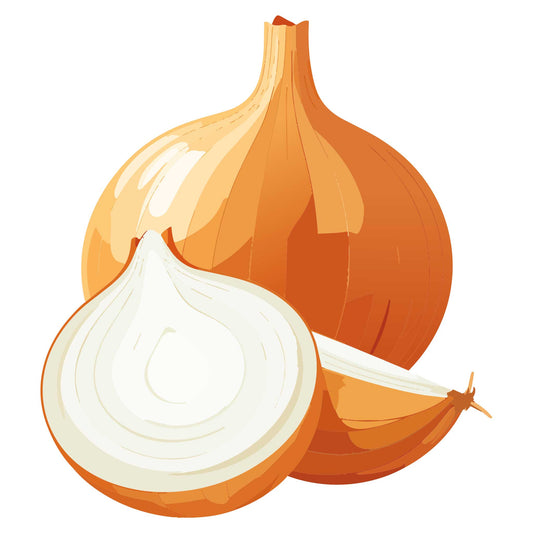 Illustration of a Sweet Spanish Utah Yellow Onion and a sliced half on a white background