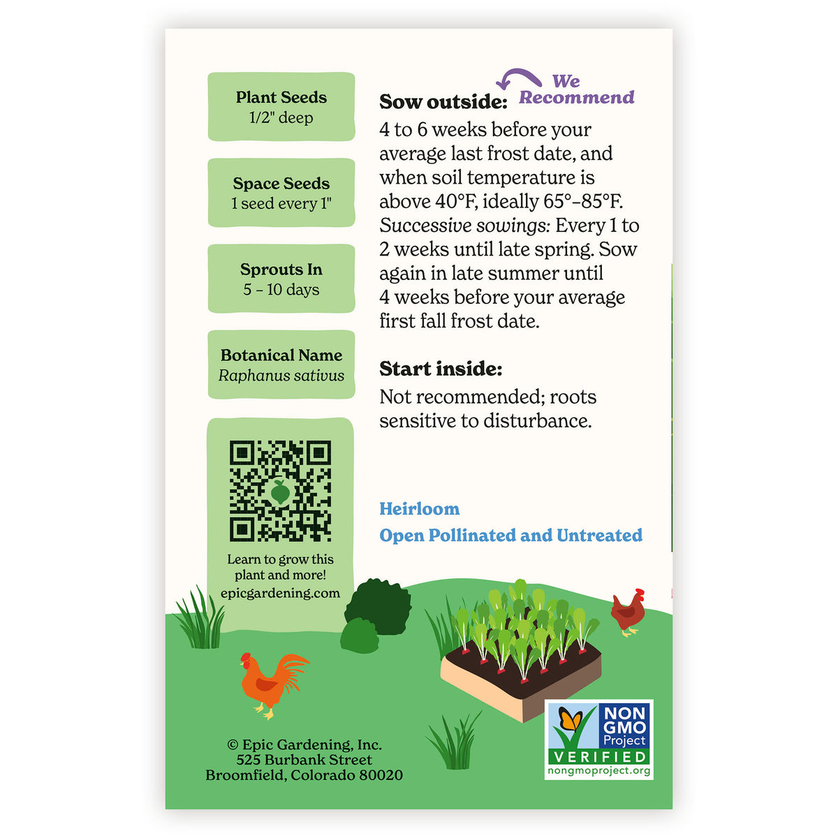 Cherry Belle Radish seed packet with gardening instructions and QR code on a white background