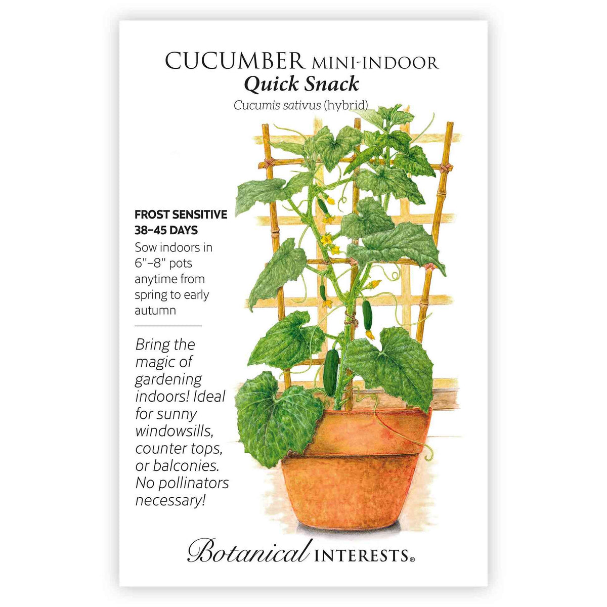 Front of a Botanical Interests "Cucumber Mini-Indoor Quick Snack" seed packet displaying a botanical illustration and information of a mini cucumber plant growing in a terracotta pot with a bamboo trellis on a white background.