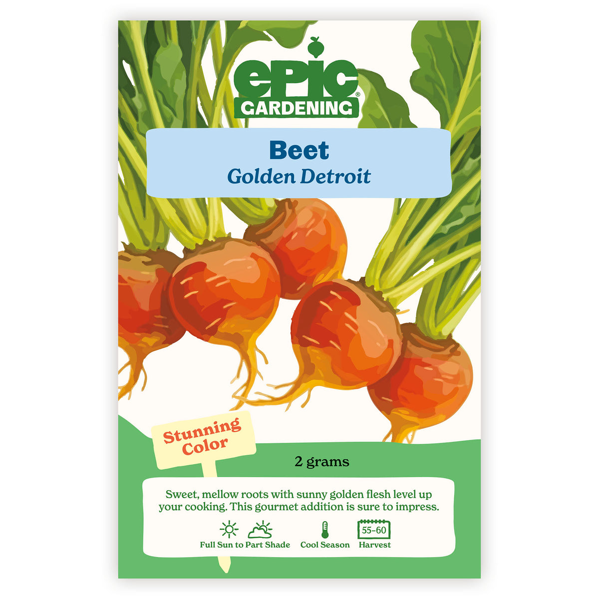 Epic Gardening Golden Detroit Beet  seed packet on a white background