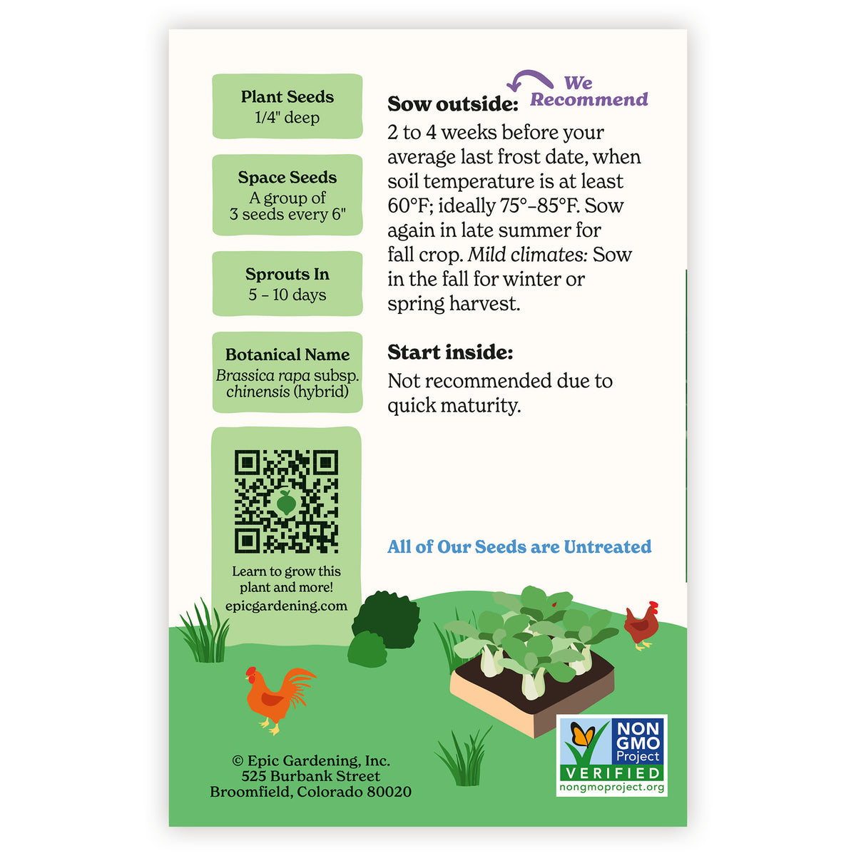 Ewok Bok Choy seed packet with gardening instructions and QR code on a white background