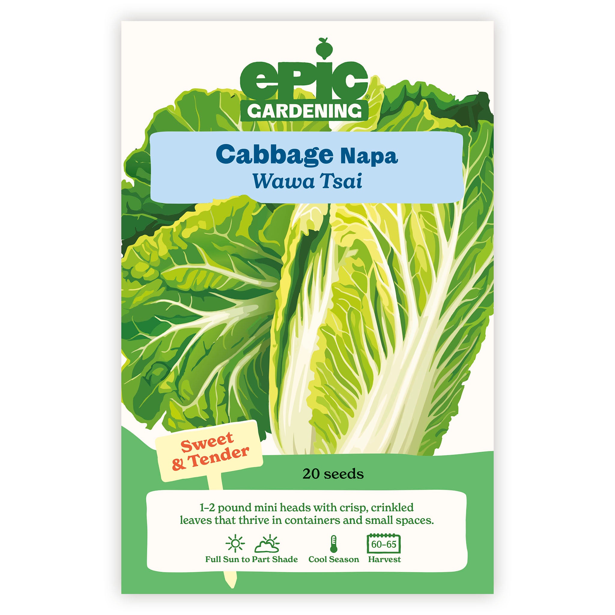 Wawa Tsai Napa Cabbage – Epic Gardening