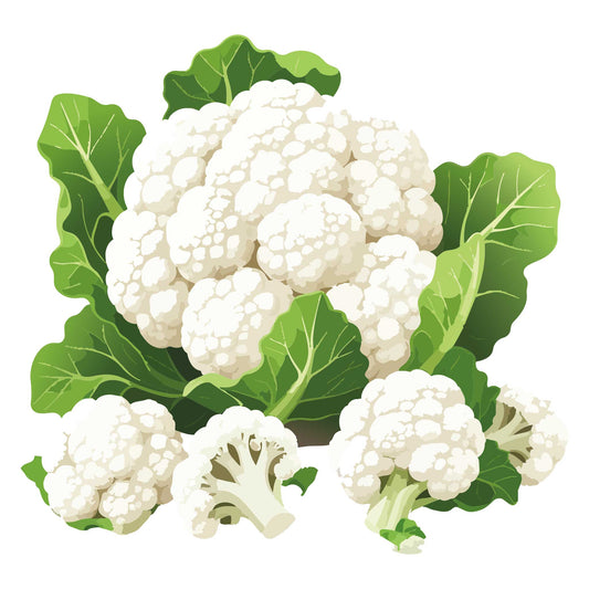 Illustration of Pureza Cauliflower with green leaves on a white background