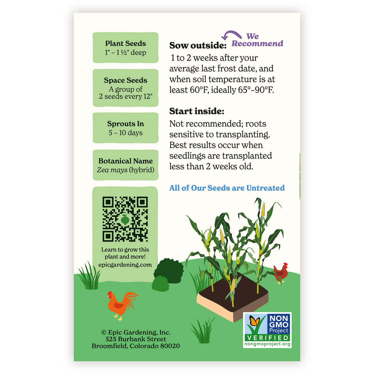Quick Start Sweet Corn seed packet with gardening instructions and plant images on a white background