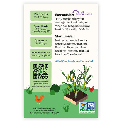 Quick Start Sweet Corn seed packet with gardening instructions and plant images on a white background