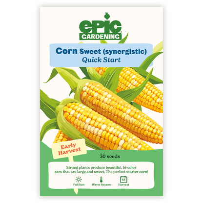 Epic Gardening Quick Start Sweet Corn seed packet with illustrations of corn ears on a white background
