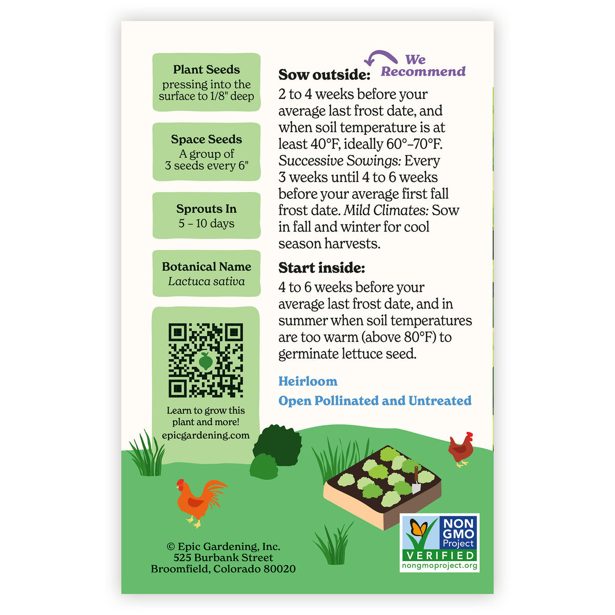 Capitaine Butter Lettuce seed packet with gardening instructions and QR code on a white background