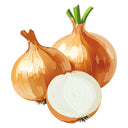 Three Texas Early Grano Yellow Onions with one cut in half on a white background