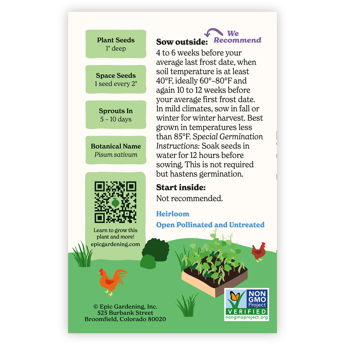 Seed packet of Caseload Shelling Pea with gardening instructions and plant information on a white background