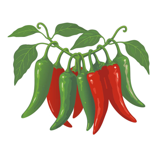 Illustration of red and green Anaheim Chile peppers on a white background