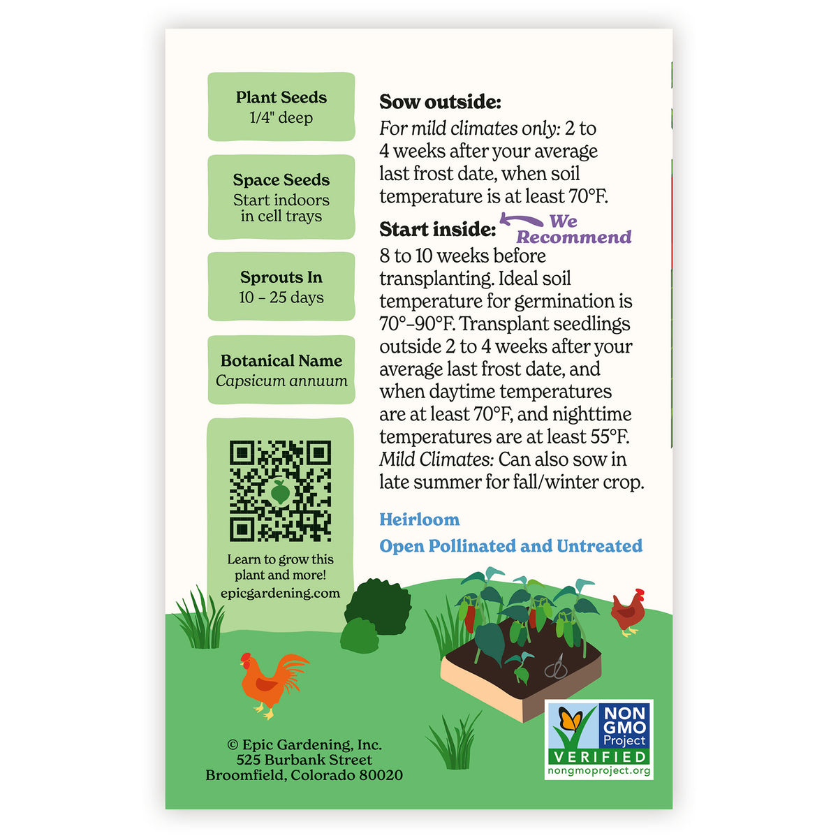 Seed packet of Anaheim Chile Pepper with gardening instructions and QR code on a white background