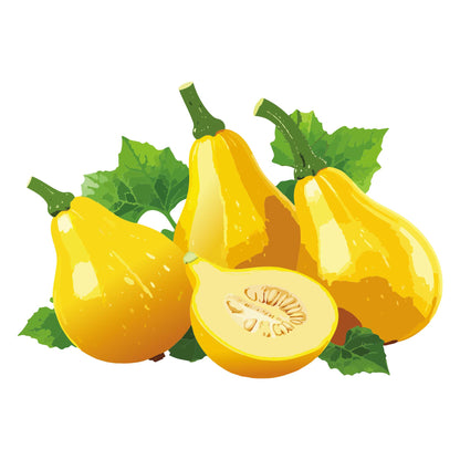 Illustration of Lemon Summer Squash yellow pears with green leaves on a white background