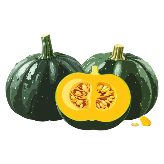 Two whole green Kabocha Winter Squash and one halved slice squash on a white background
