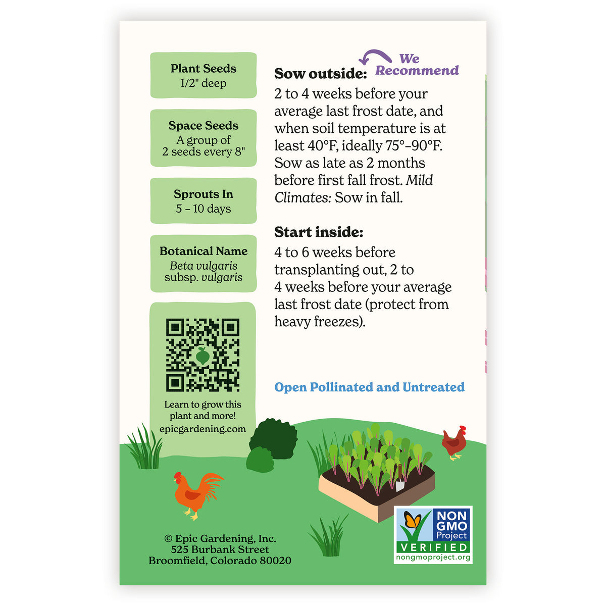 Magenta Sunset Swiss Chard seed packet with growing instructions and QR code on a white background