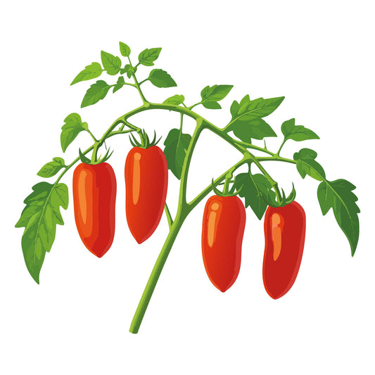Illustration of tomato jersey devil red peppers on a green stem with leaves against a white background