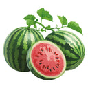 Two whole Cal Sweet Watermelon and one sliced watermelon on a white background