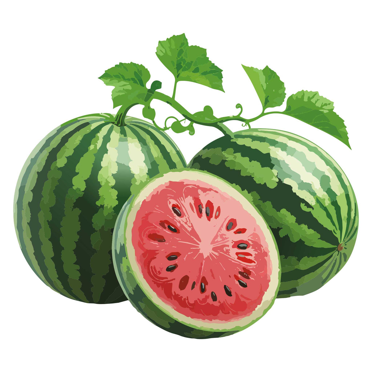 Two whole Cal Sweet Watermelon and one sliced watermelon on a white background