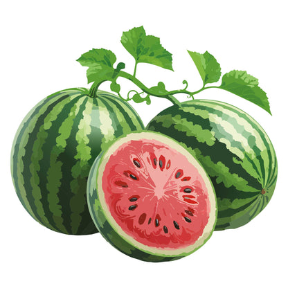 Two whole Cal Sweet Watermelon and one sliced watermelon on a white background