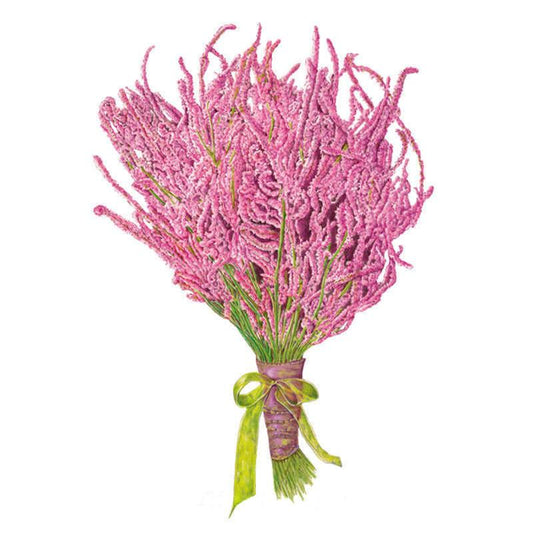 Illustration of a full bundle of Russian statice with slender, arching stems densely covered in tiny pink flower clusters, gathered and tied with a green ribbon against a white background.