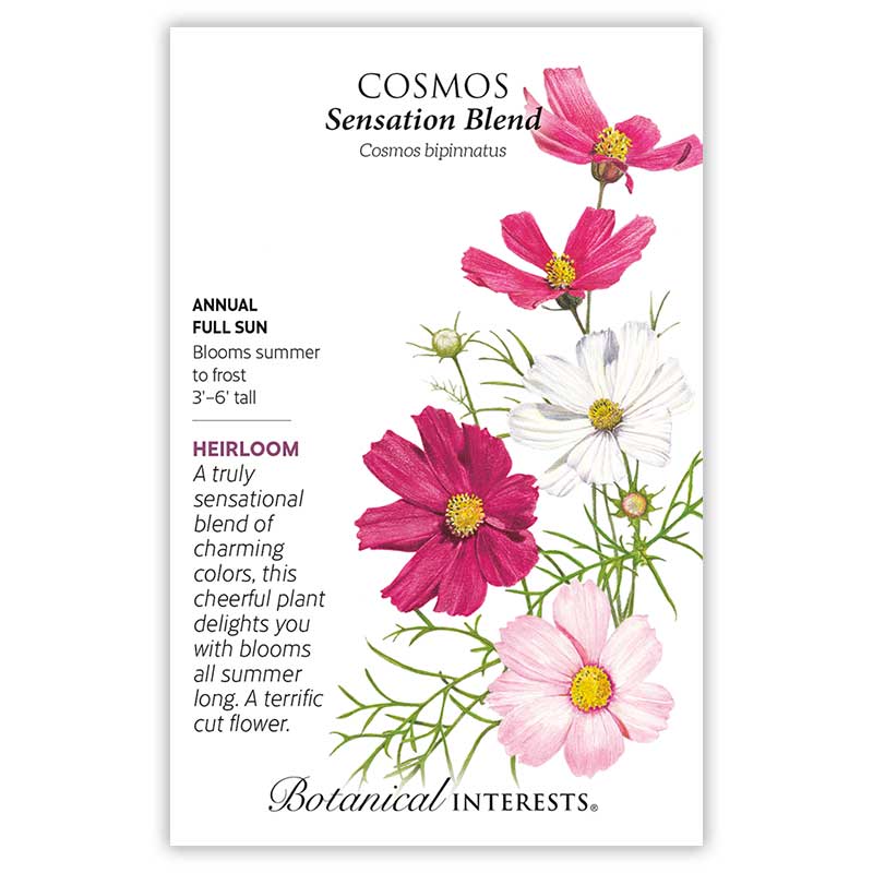 Front of an organic Botanical Interests seed packet for Sensation Blend Cosmos Seeds featuring growing details and a colorful botanical illustration of vibrant white, pink, rose, and crimson cosmos flowers.