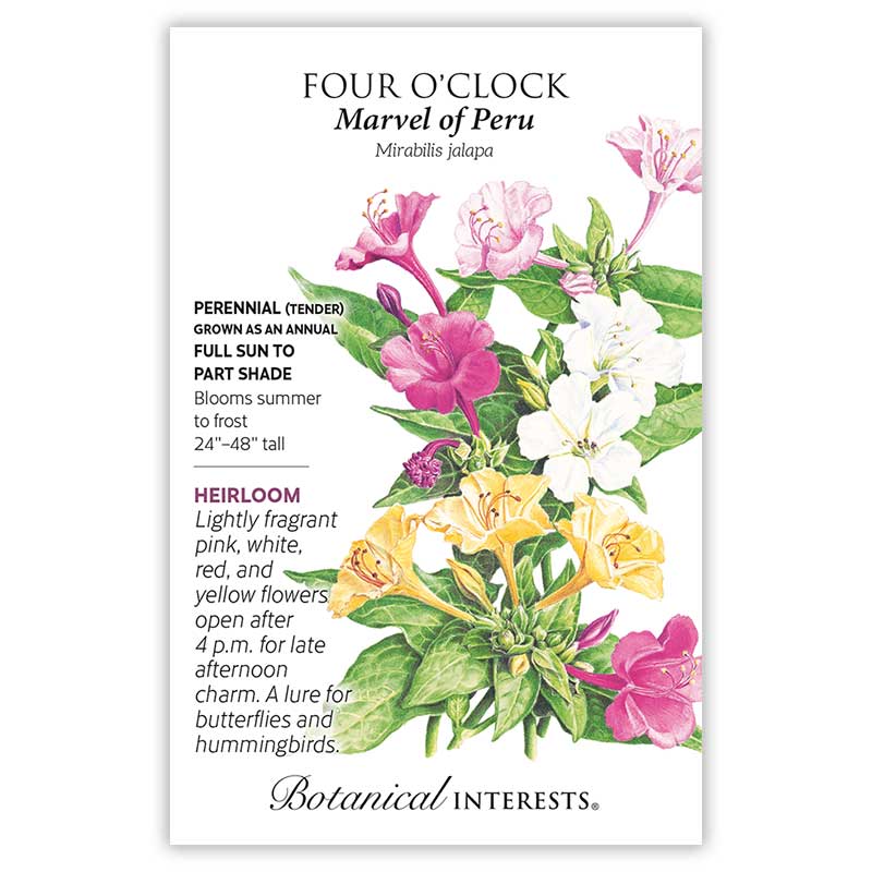 Seed packet for Marvel of Peru Four O'Clock featuring a botanical illustration of trumpet-shaped pink, white, red, and yellow flowers among green leaves, with text noting it's a heirloom tender perennial grown as an annual, full sun to part shade, blooming summer to frost at 24–48 inches tall.