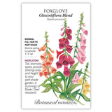 Seed packet for Gloxiniiflora Blend Foxglove featuring a botanical illustration of tall flower spires in orange, deep red, pink, and yellow, with printed text noting it's a heirloom biennial for full sun to part shade, blooming spring to summer at 3 to 5 feet tall.