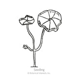 Line drawing labeled 
