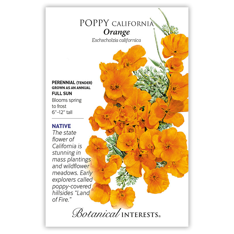 Front of a Botanical Interests seed packet for Orange California Poppy Seeds featuring a detailed botanical illustration and variety information of bright golden-orange California poppies with fine green foliage.