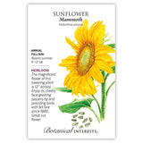 Botanical Interests seed packet for Mammoth Sunflower, illustrated with a large yellow sunflower on a thick green stem and striped seeds, alongside text noting it's a heirloom annual for full sun, blooming summer with 12-inch flowers on plants 6 to 12 feet tall.