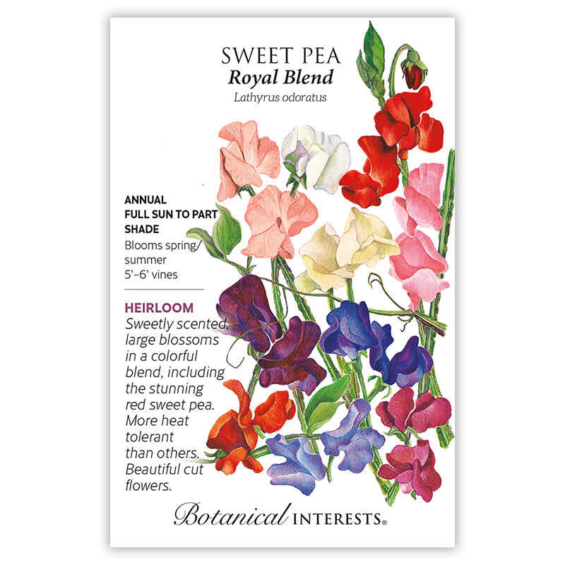 Royal Blend sweet pea seed packet with colorful flowers and botanical information.