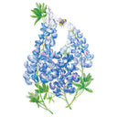 Botanical illustration of bluebonnet flowers showing tall spikes of blue-and-white pea-shaped blooms with palmate green leaves, a bumblebee hovering near the topmost blossoms, set against a plain white background.
